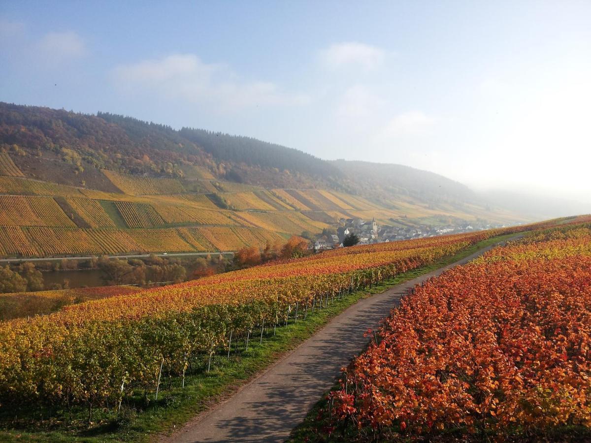 Weingut-Brennerei-Gaestehaus Emil Dauns Reil Esterno foto