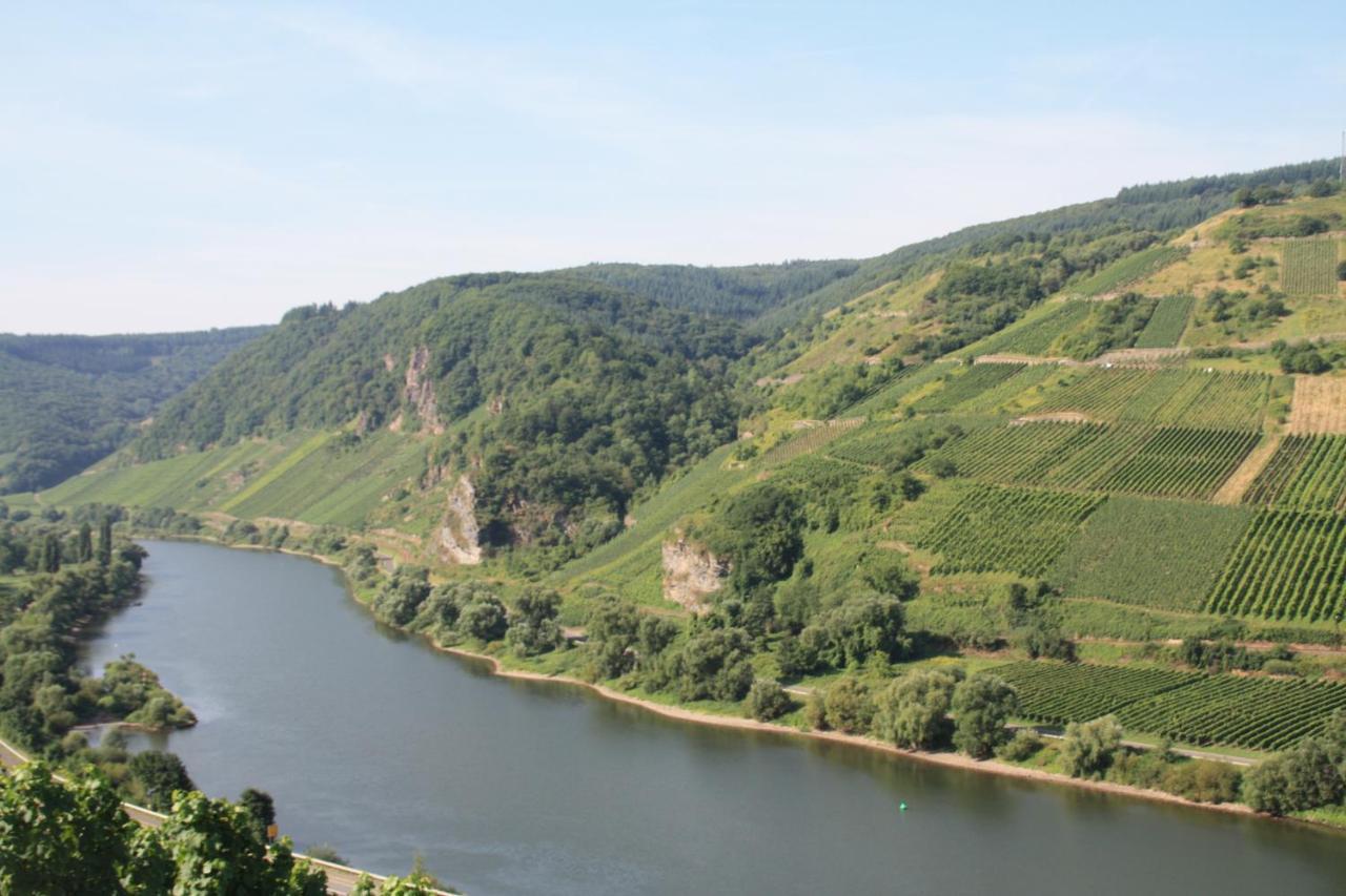 Weingut-Brennerei-Gaestehaus Emil Dauns Reil Esterno foto