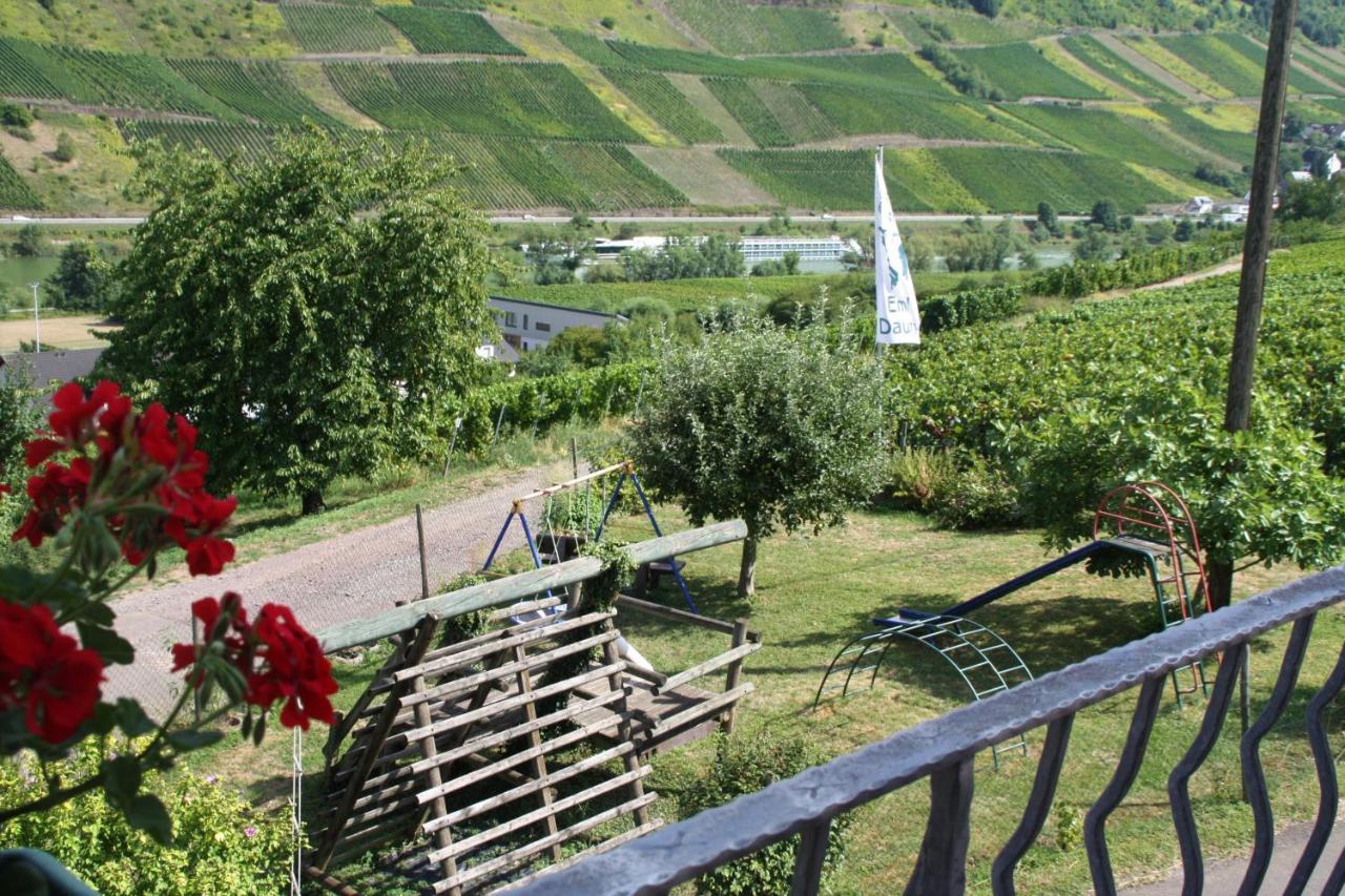Weingut-Brennerei-Gaestehaus Emil Dauns Reil Esterno foto