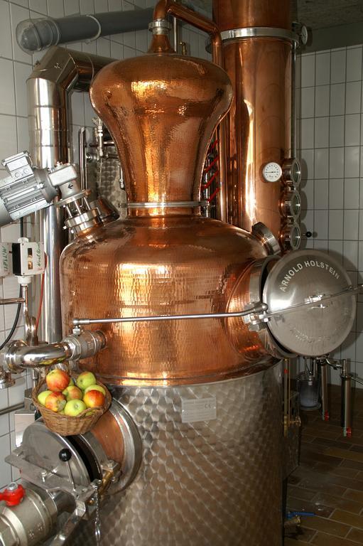 Weingut-Brennerei-Gaestehaus Emil Dauns Reil Esterno foto