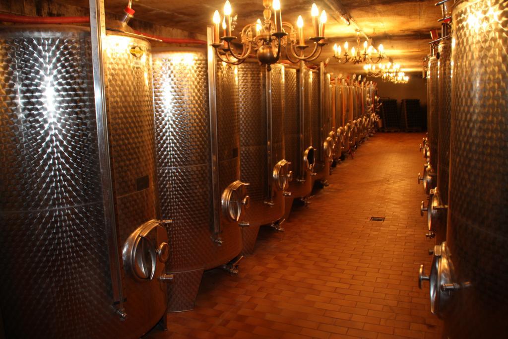 Weingut-Brennerei-Gaestehaus Emil Dauns Reil Esterno foto