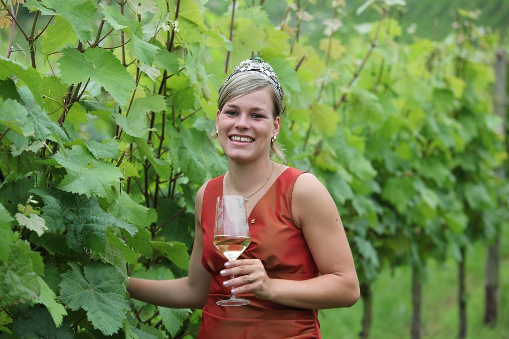 Weingut-Brennerei-Gaestehaus Emil Dauns Reil Esterno foto