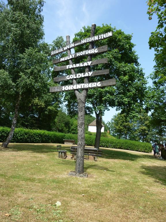 Weingut-Brennerei-Gaestehaus Emil Dauns Reil Esterno foto