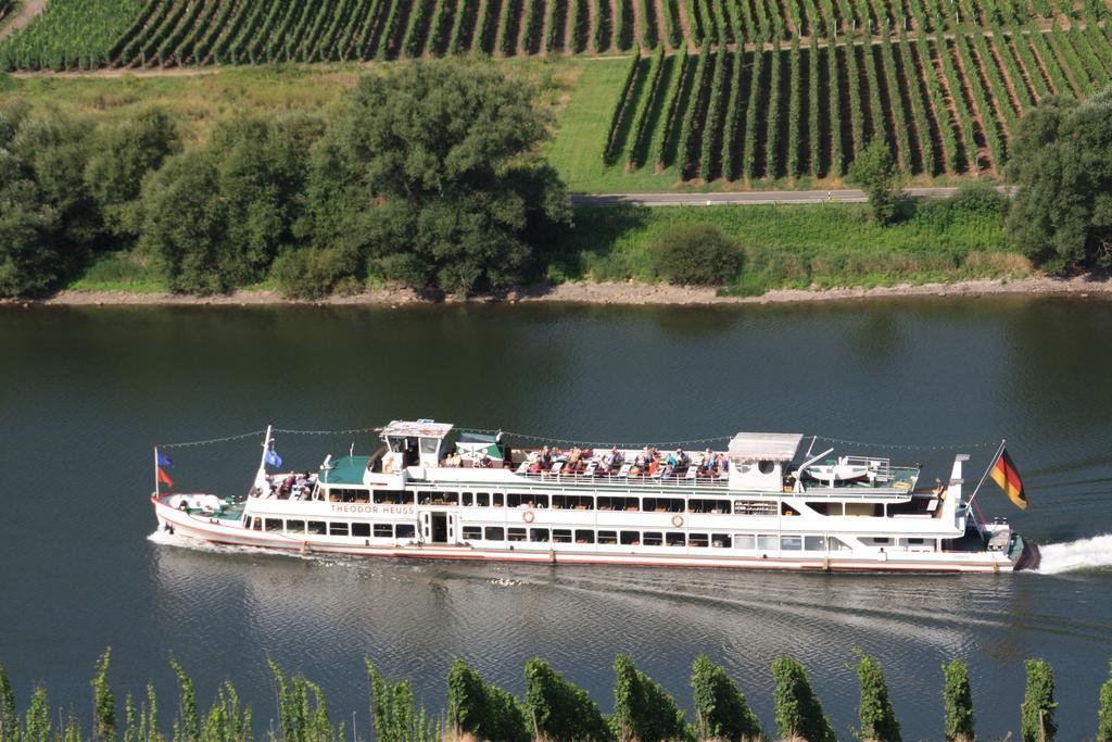Weingut-Brennerei-Gaestehaus Emil Dauns Reil Esterno foto
