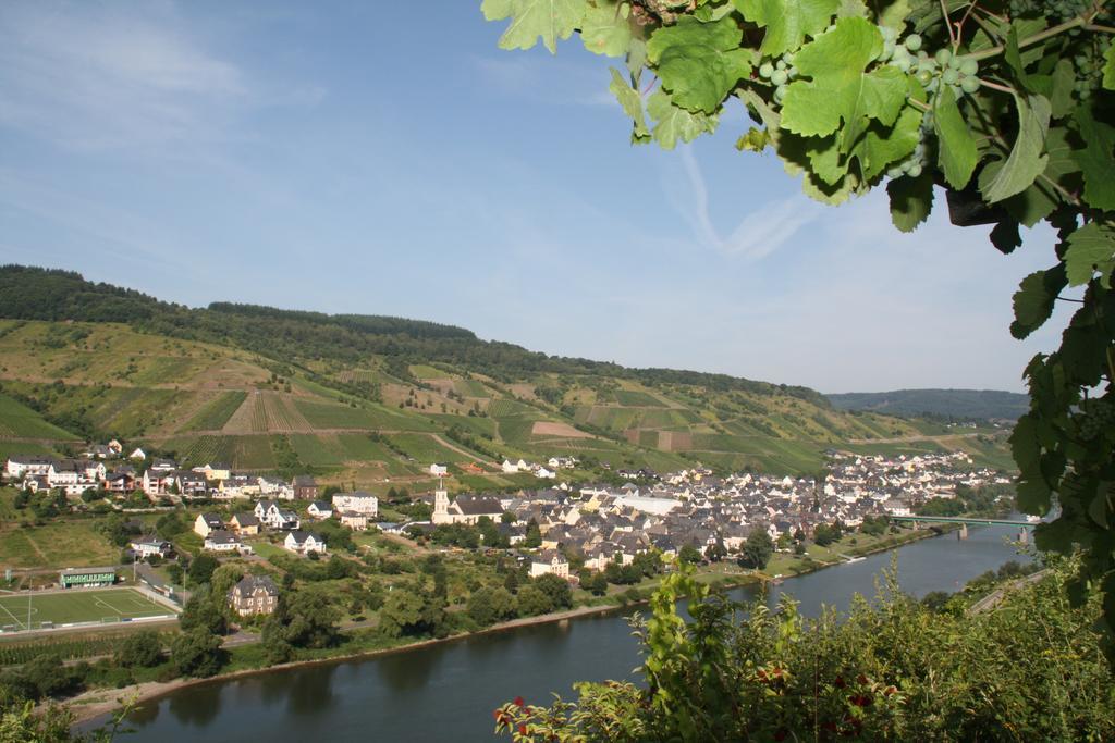 Weingut-Brennerei-Gaestehaus Emil Dauns Reil Esterno foto