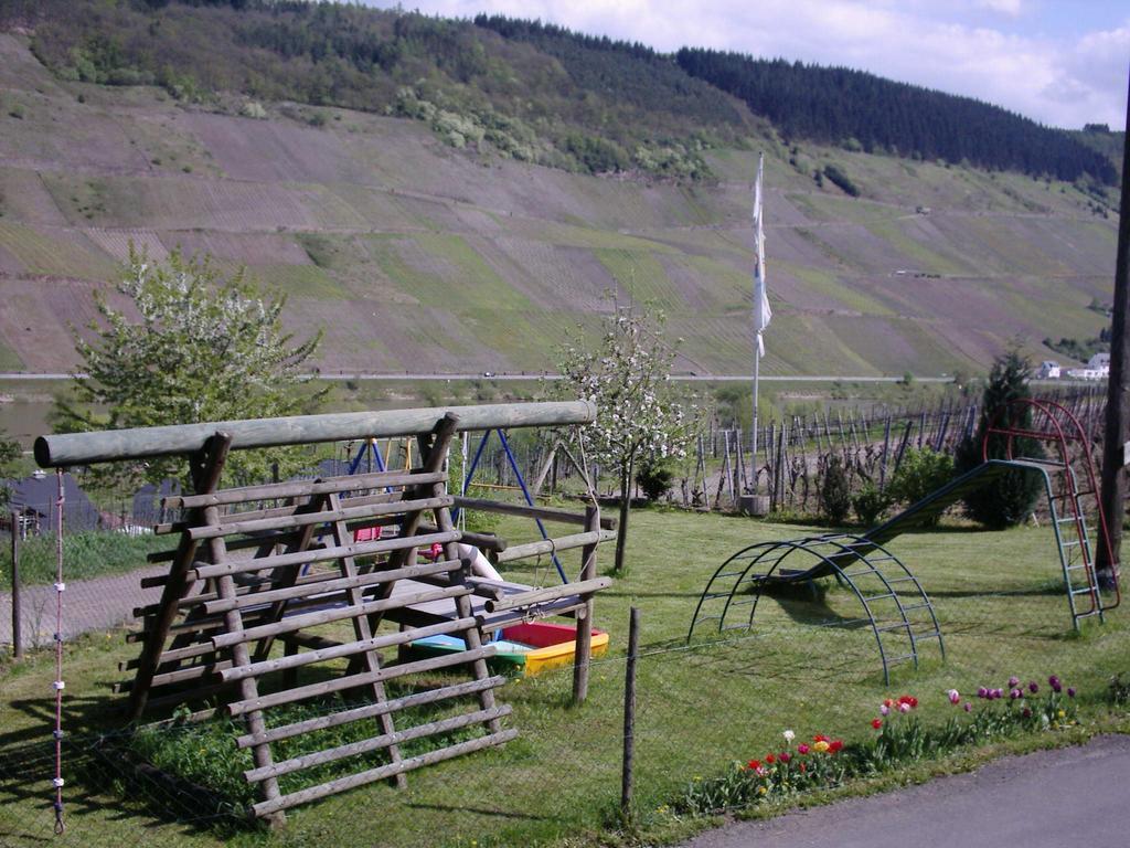 Weingut-Brennerei-Gaestehaus Emil Dauns Reil Esterno foto