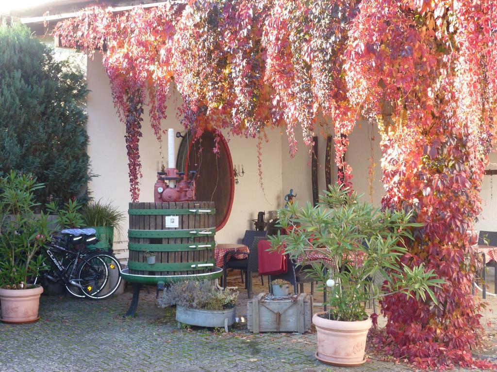 Weingut-Brennerei-Gaestehaus Emil Dauns Reil Esterno foto