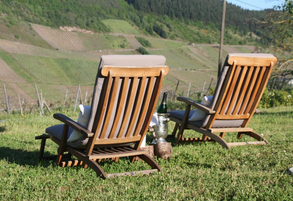 Weingut-Brennerei-Gaestehaus Emil Dauns Reil Esterno foto