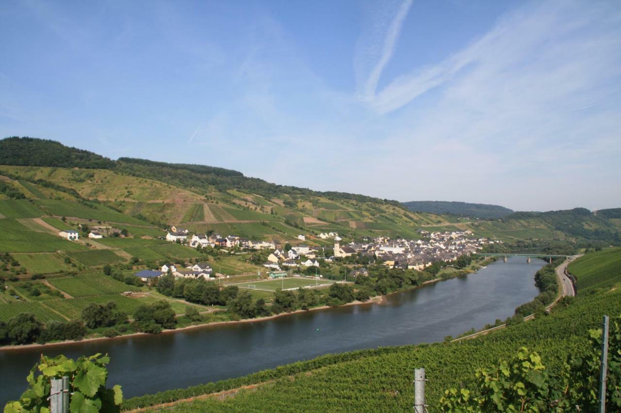 Weingut-Brennerei-Gaestehaus Emil Dauns Reil Esterno foto