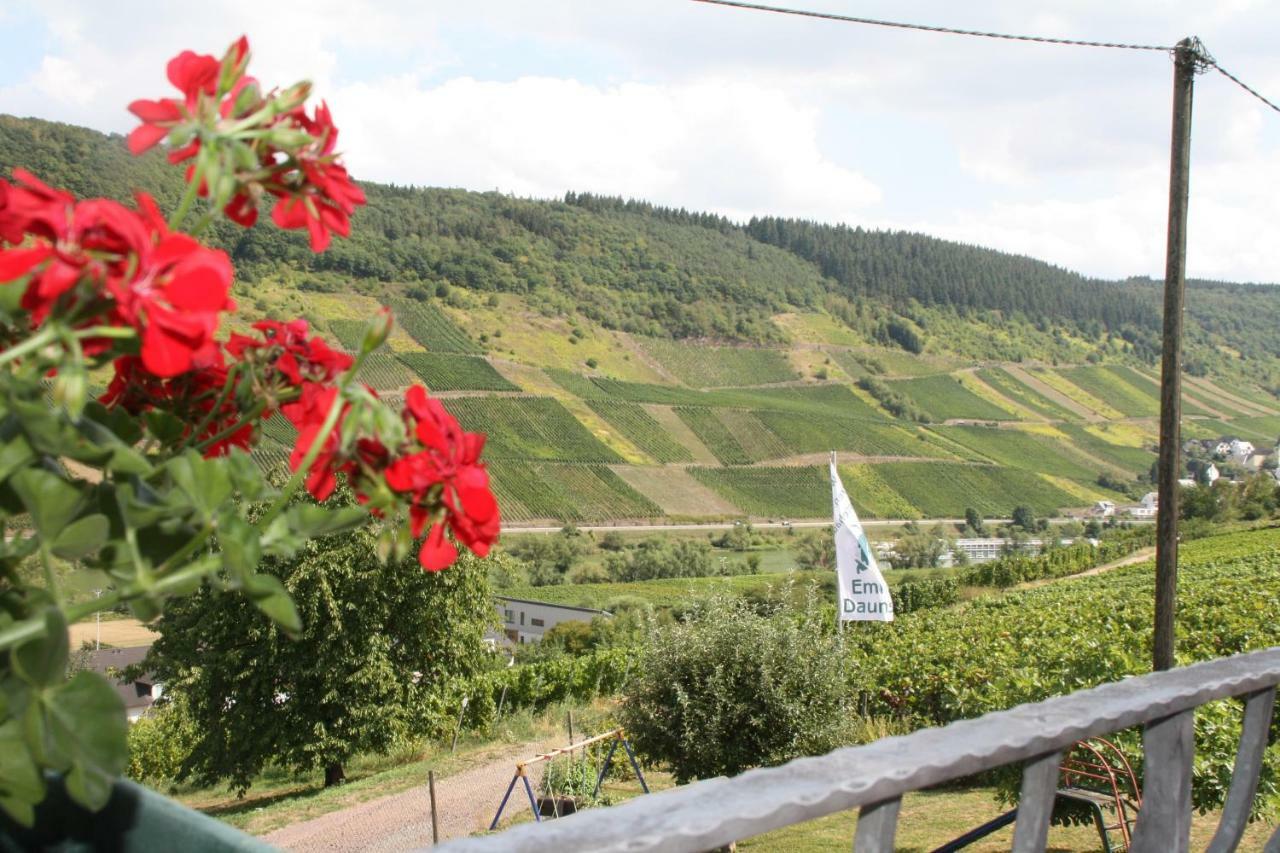 Weingut-Brennerei-Gaestehaus Emil Dauns Reil Esterno foto