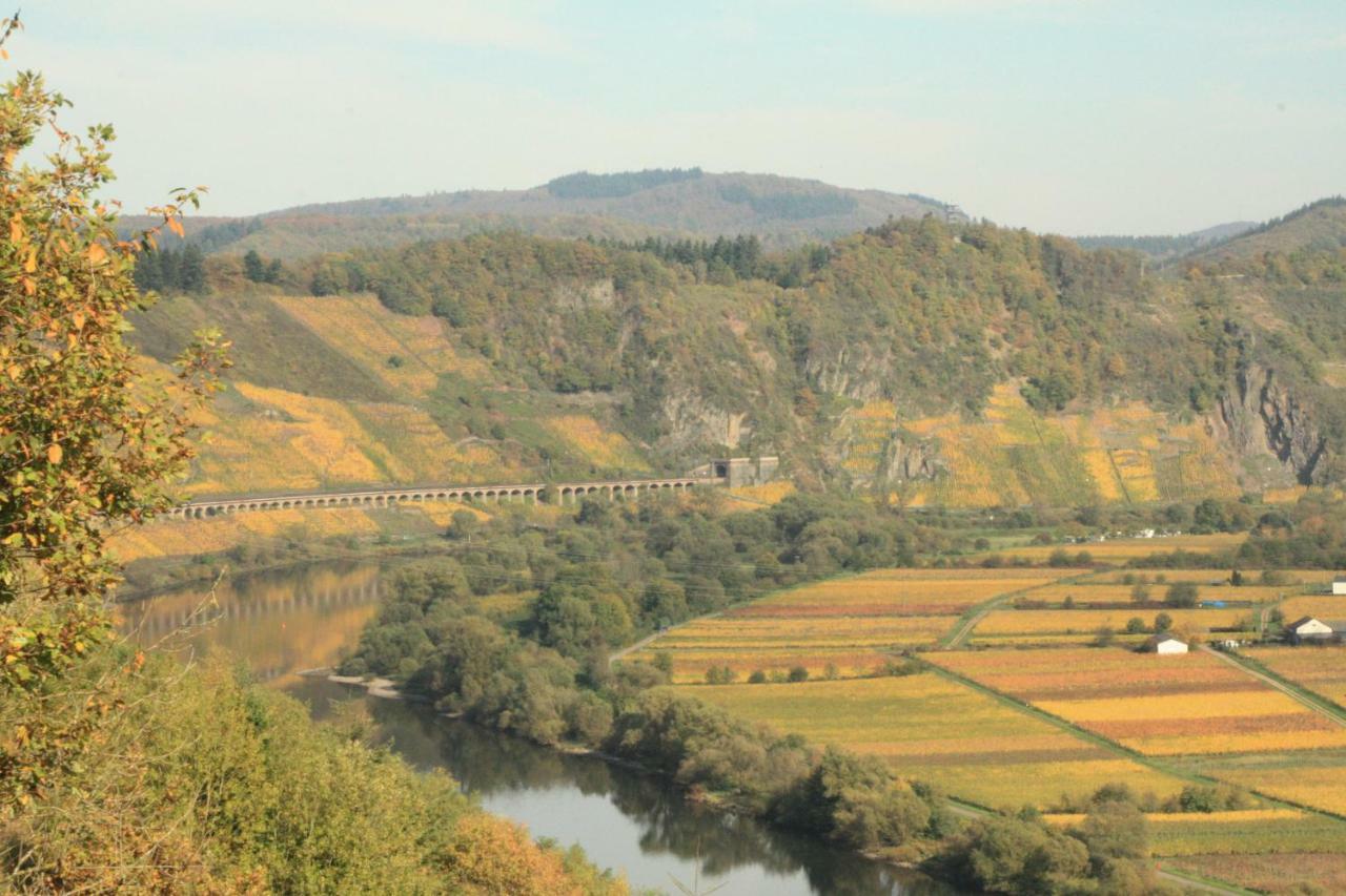 Weingut-Brennerei-Gaestehaus Emil Dauns Reil Esterno foto